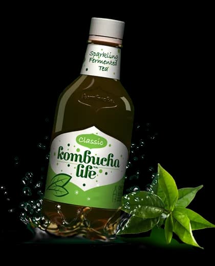 Kombucha clasic 500ml Kombucha Life