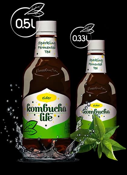 Kombucha cu soc 500ml Kombucha Life