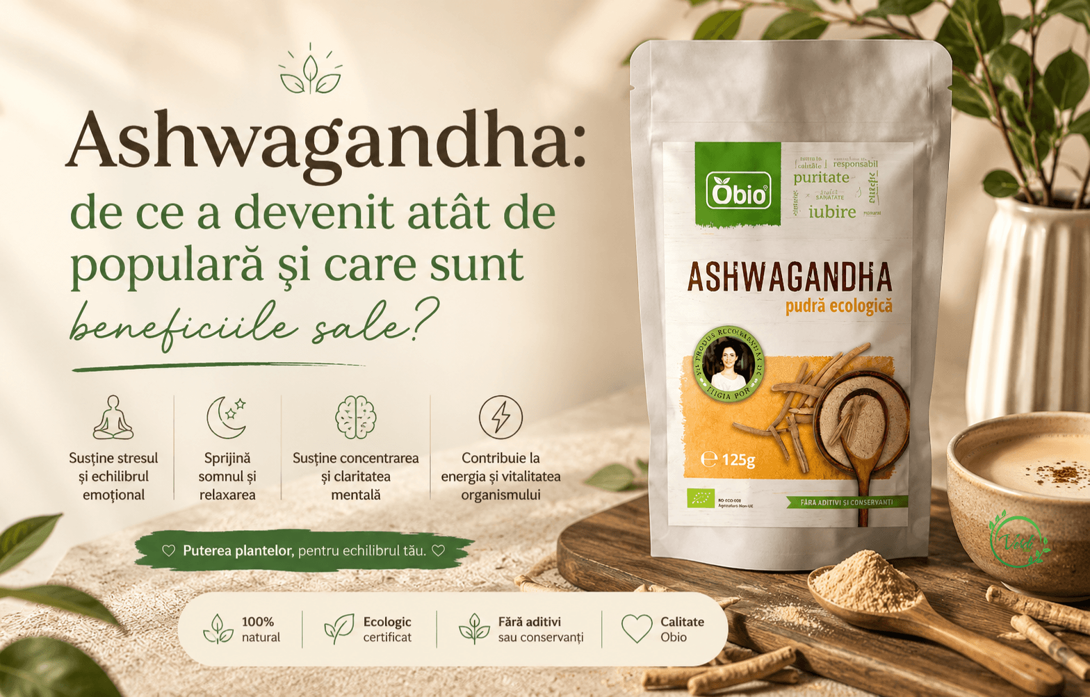 Ashwagandha: de ce a devenit atât de populară și care sunt beneficiile sale?